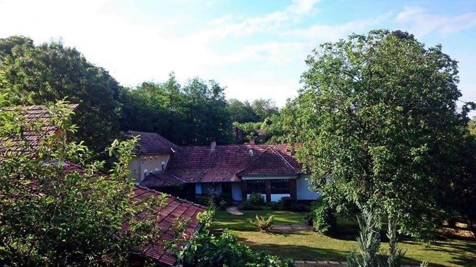 Nyugalomsziget Villa Kotcse Bagian luar foto