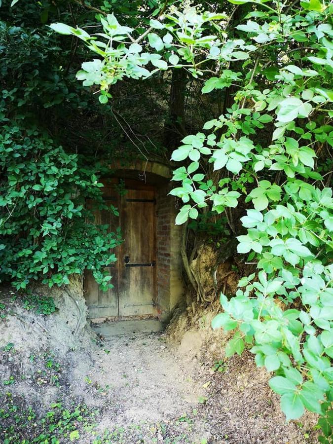 Nyugalomsziget Villa Kotcse Bagian luar foto