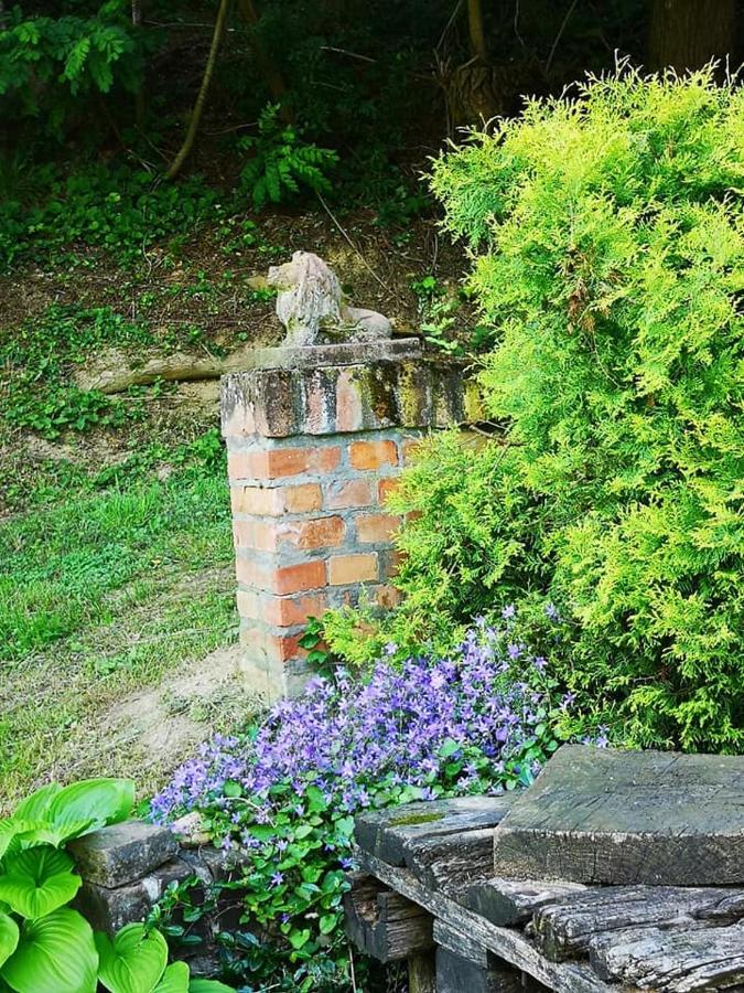 Nyugalomsziget Villa Kotcse Bagian luar foto