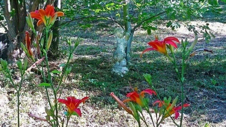 Nyugalomsziget Villa Kotcse Bagian luar foto