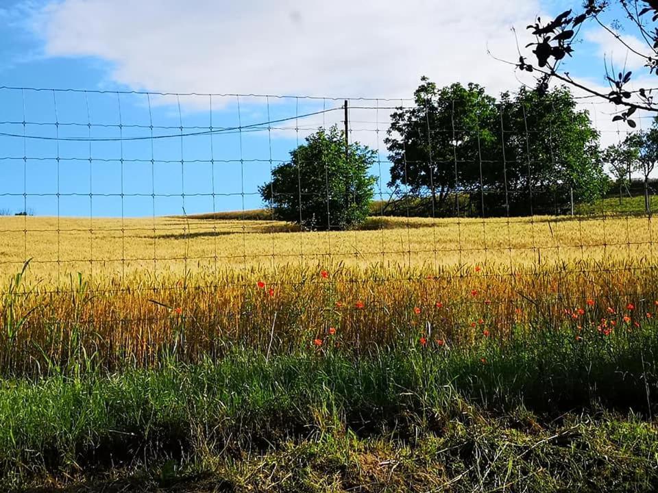 Nyugalomsziget Villa Kotcse Bagian luar foto