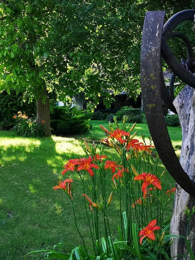 Nyugalomsziget Villa Kotcse Bagian luar foto