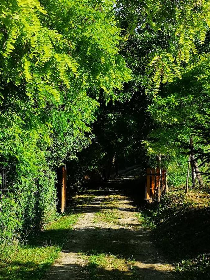 Nyugalomsziget Villa Kotcse Bagian luar foto