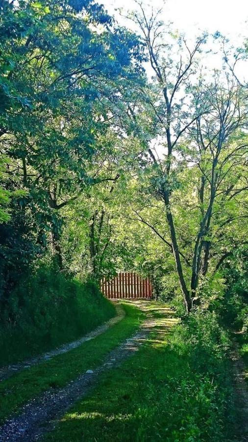 Nyugalomsziget Villa Kotcse Bagian luar foto